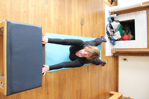 chicago river north pilates gyrotonic and feldenkrais instructor kathleen aharoni